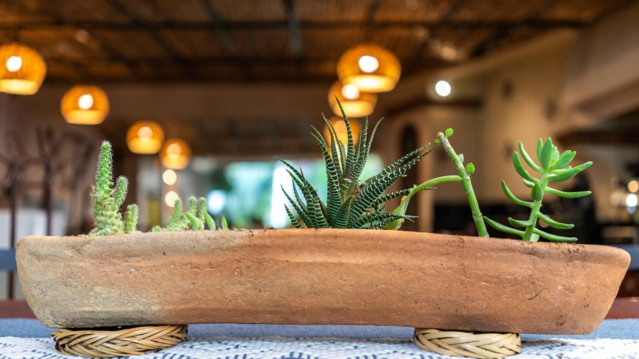Casa Los Cantaros Hotel Boutique Oaxaca Eksteriør billede