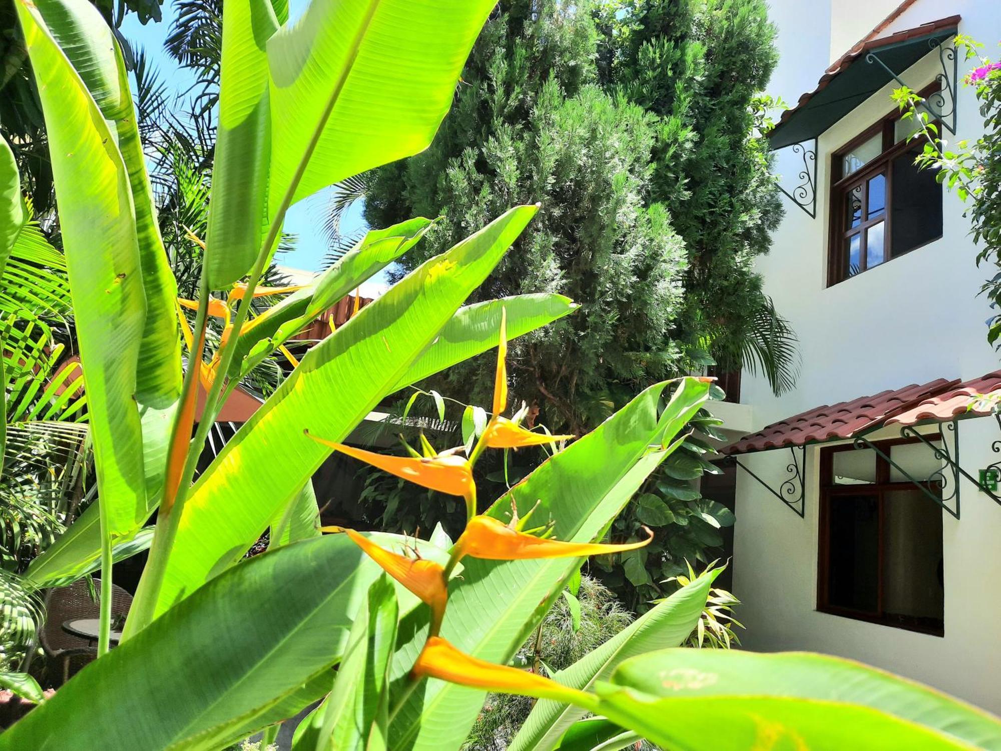 Casa Los Cantaros Hotel Boutique Oaxaca Eksteriør billede